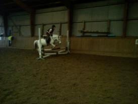 ridning på egedal rideskole - malle springer billede 4