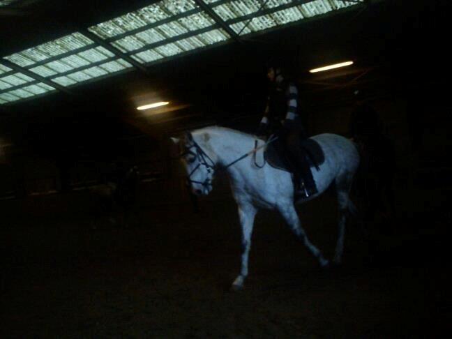 ridning på egedal rideskole - malle rider stævne billede 6