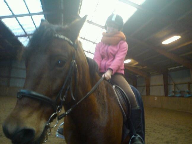 ridning på egedal rideskole - milla rider dressur billede 7