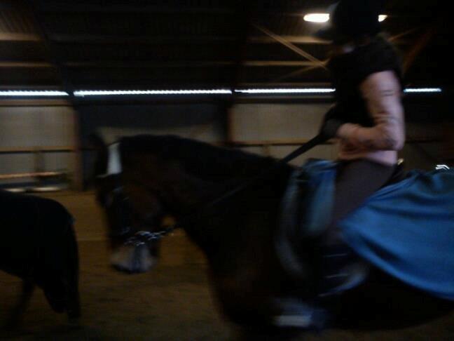 ridning på egedal rideskole - milla rider dressur billede 8