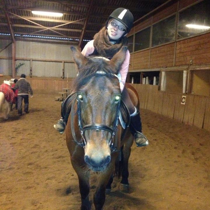 ridning på egedal rideskole - milla rider dressur billede 9