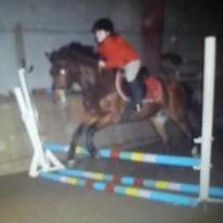 ridning på egedal rideskole - camse og jeg springer billede 11