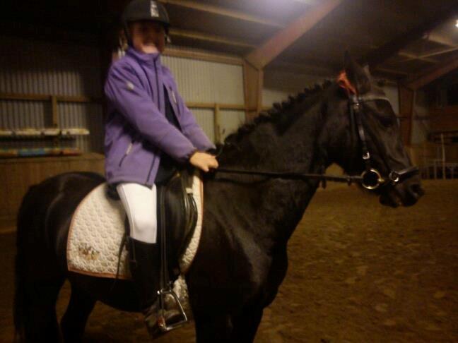ridning på egedal rideskole - fellle rider dressur billede 15