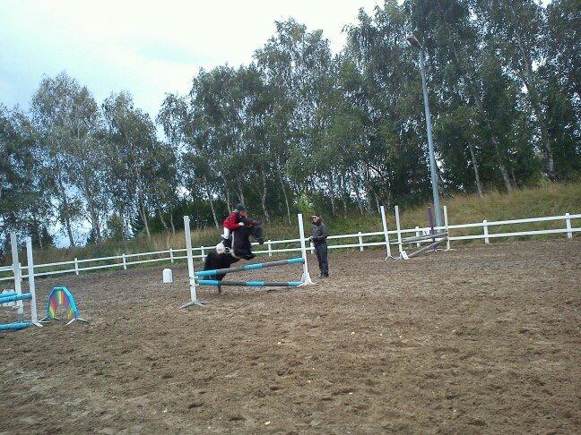 ridning på egedal rideskole - felle springer billede 16