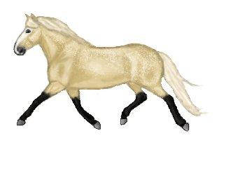 Lidt forskellige heste tegninger. - Islænder. Den blev ikke helt så pæn billede 14