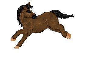 Lidt forskellige heste tegninger. - En paint hest. Lavede den i dag. Plejer ikke at tegne i paint
Tegnet i Net-hesten.dk skabelon. billede 15