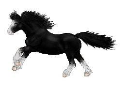 Lidt forskellige heste tegninger. - En Welsh Cob. billede 17