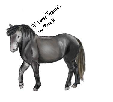 Lidt forskellige heste tegninger. - Til Horse Team<3
Fanta ^_^ billede 18