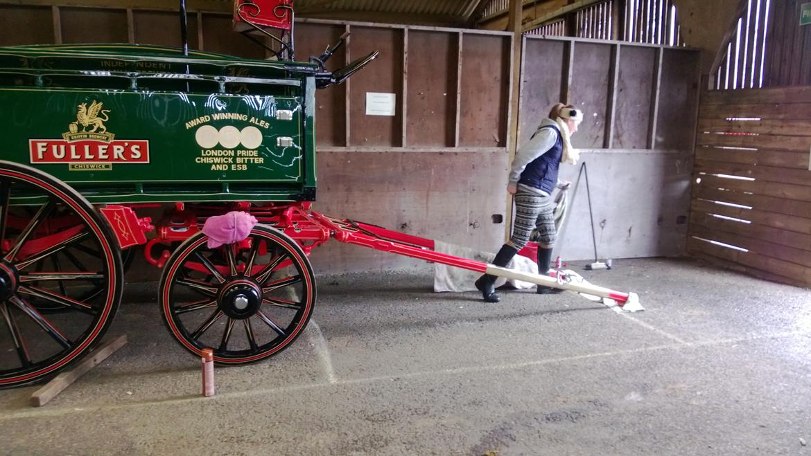 Verdens største shire show i Peterborough 2013 billede 59