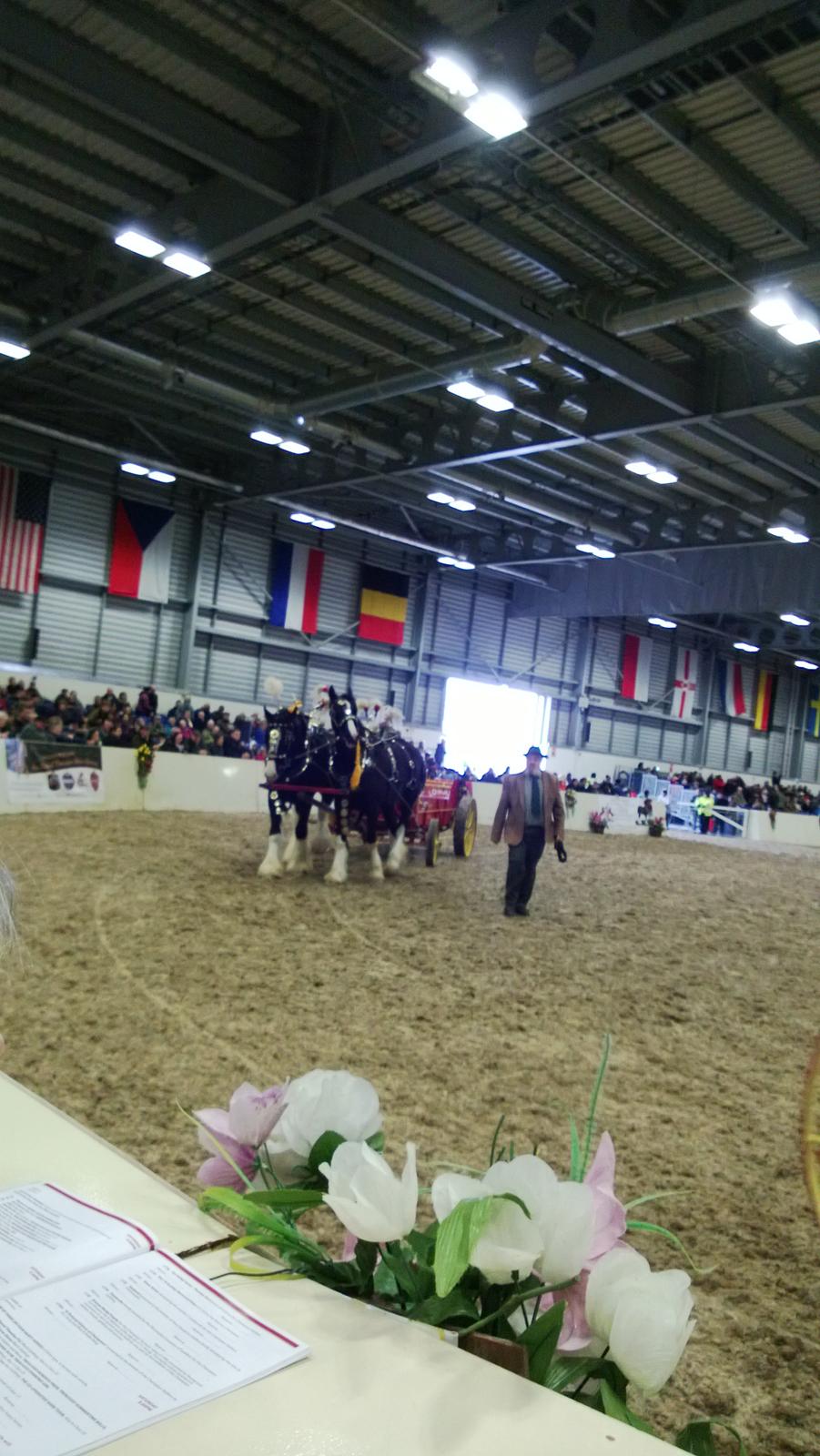 Verdens største shire show i Peterborough 2013 billede 81