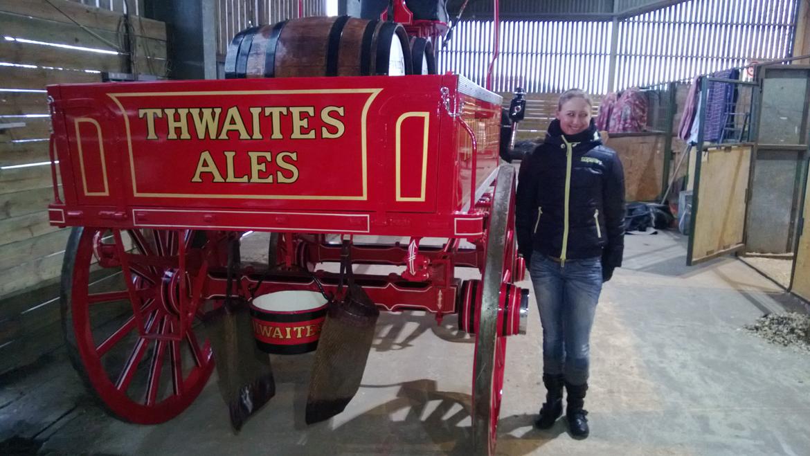 Verdens største shire show i Peterborough 2013 billede 106