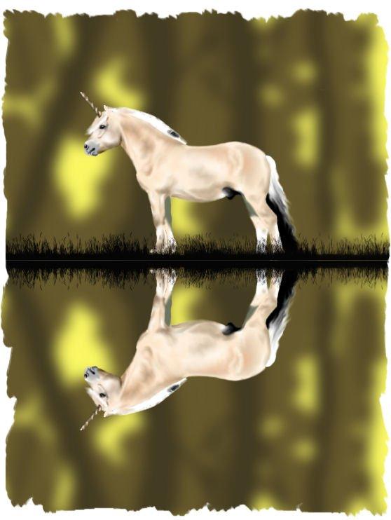 Tegninger, heste og et par hunde - lille fjollebakke enhjørning. pc farvelægning. billede 13