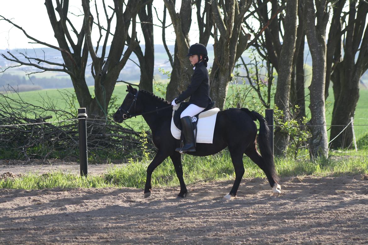 Sabro rideklub - Nydelig equipage :-) billede 1