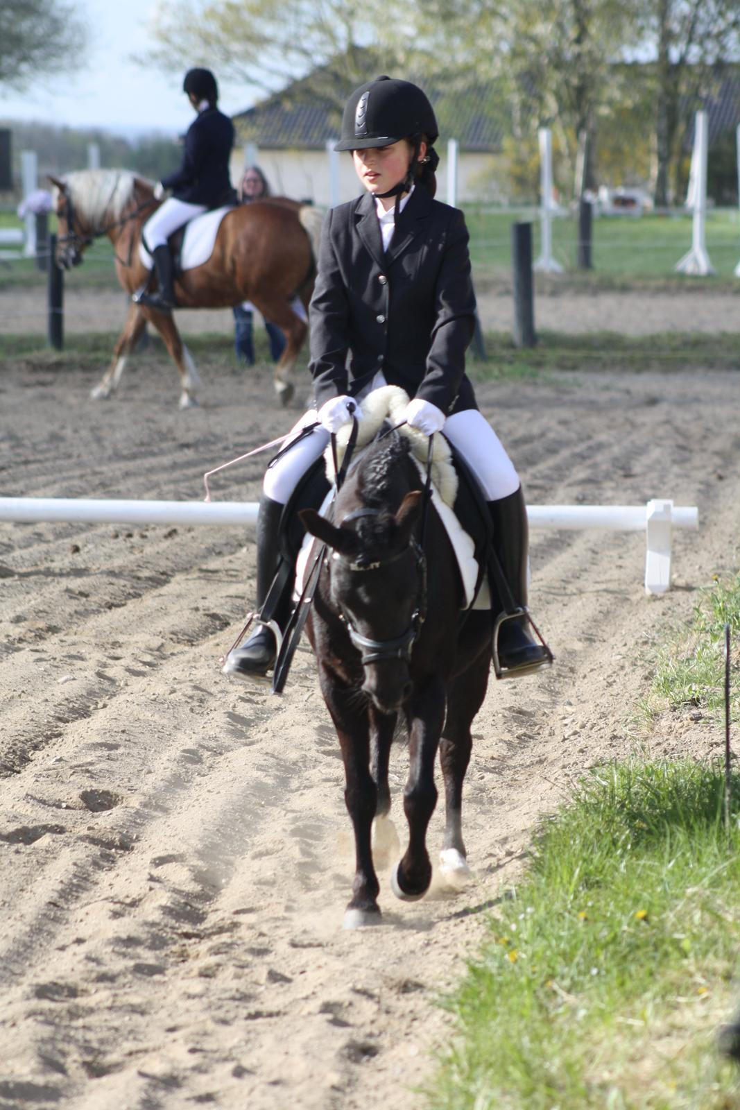 Sabro rideklub billede 3