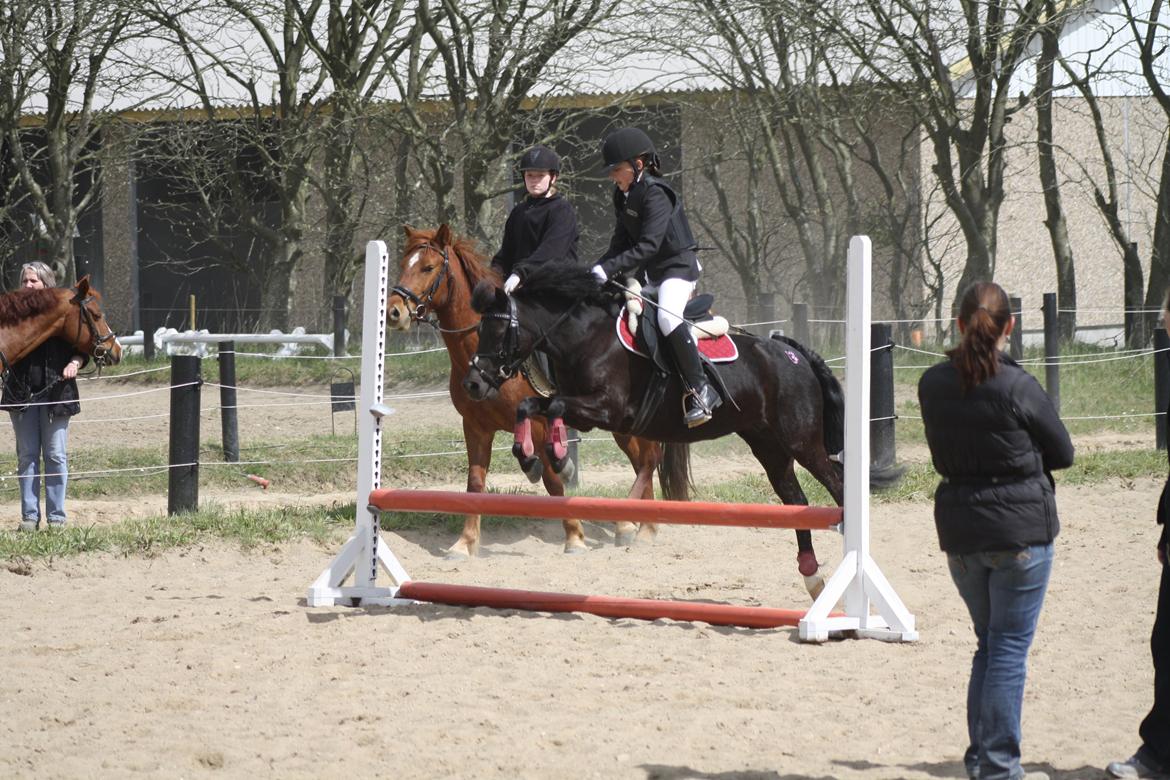 Sabro rideklub billede 5