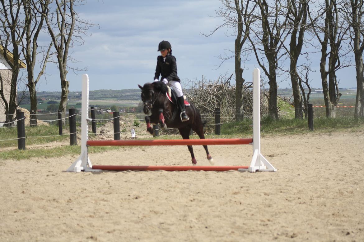 Sabro rideklub billede 6