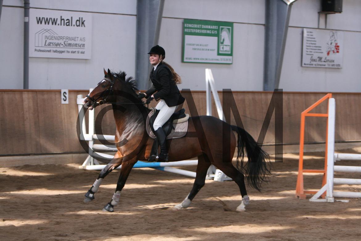 17/03 - 13 | Glostrup rideklub, spring billede 2