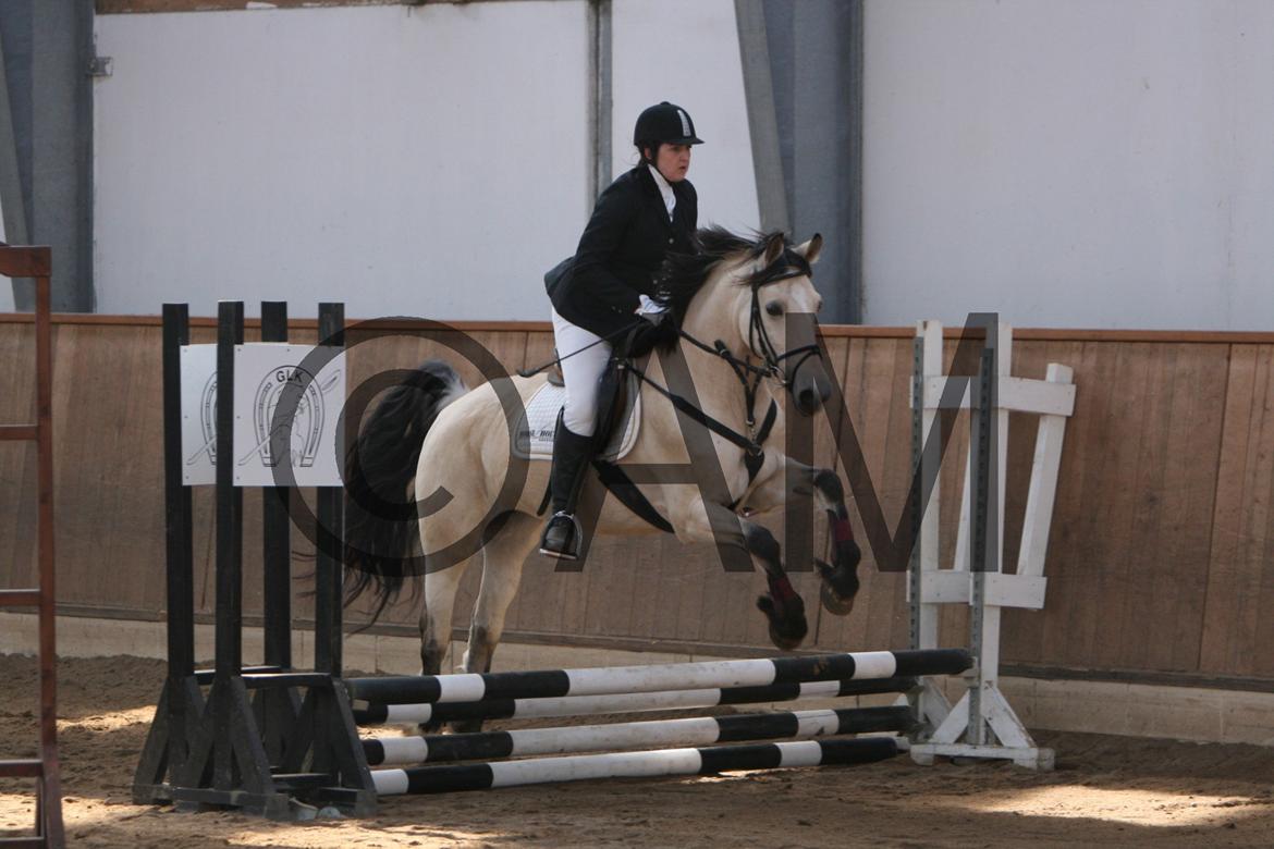 17/03 - 13 | Glostrup rideklub, spring billede 4