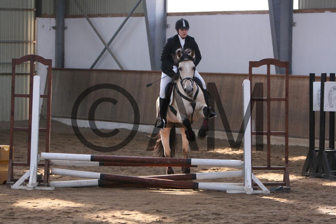 17/03 - 13 | Glostrup rideklub, spring billede 6