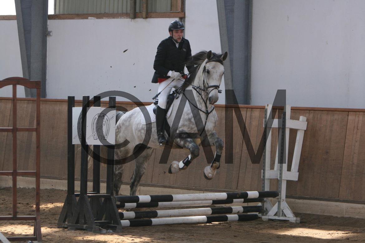 17/03 - 13 | Glostrup rideklub, spring billede 7