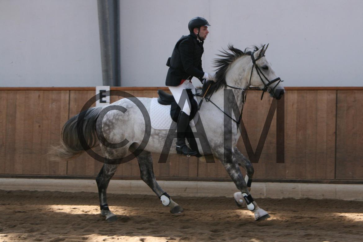 17/03 - 13 | Glostrup rideklub, spring billede 8