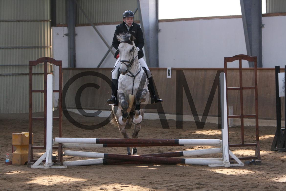 17/03 - 13 | Glostrup rideklub, spring billede 9