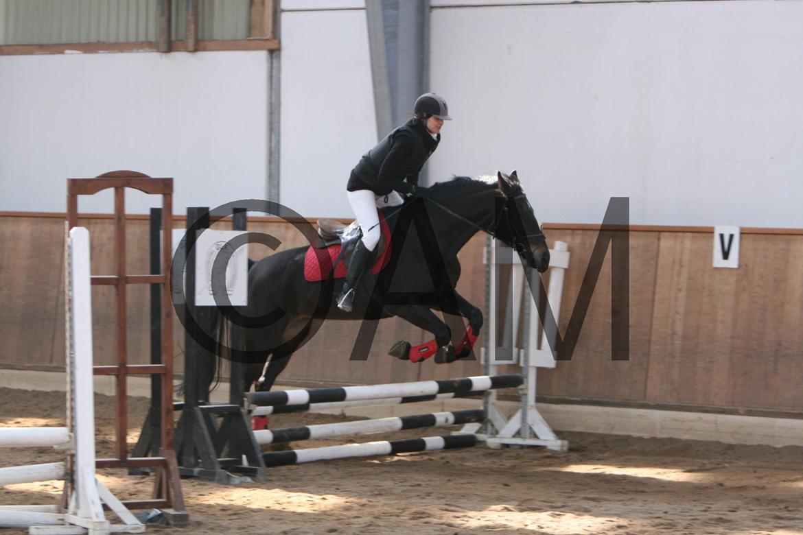 17/03 - 13 | Glostrup rideklub, spring billede 10