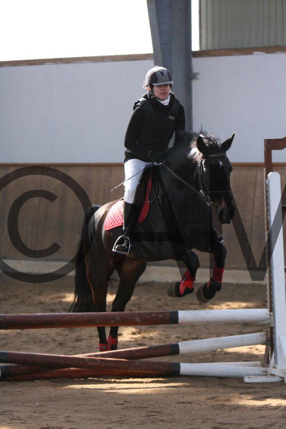 17/03 - 13 | Glostrup rideklub, spring billede 12