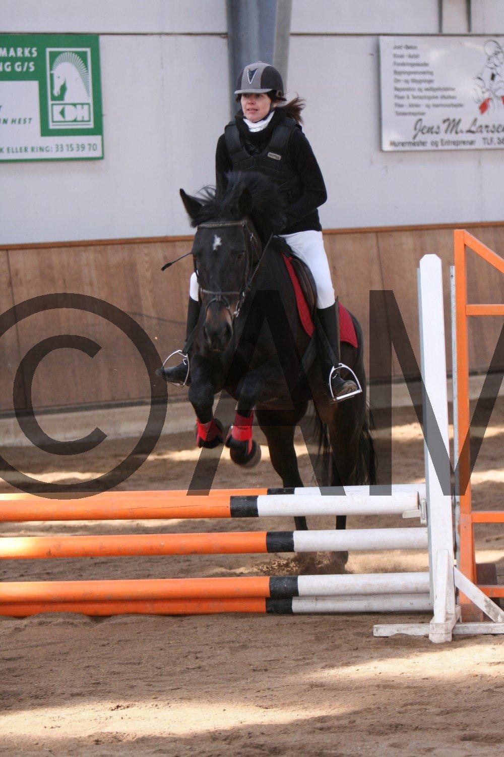 17/03 - 13 | Glostrup rideklub, spring billede 13
