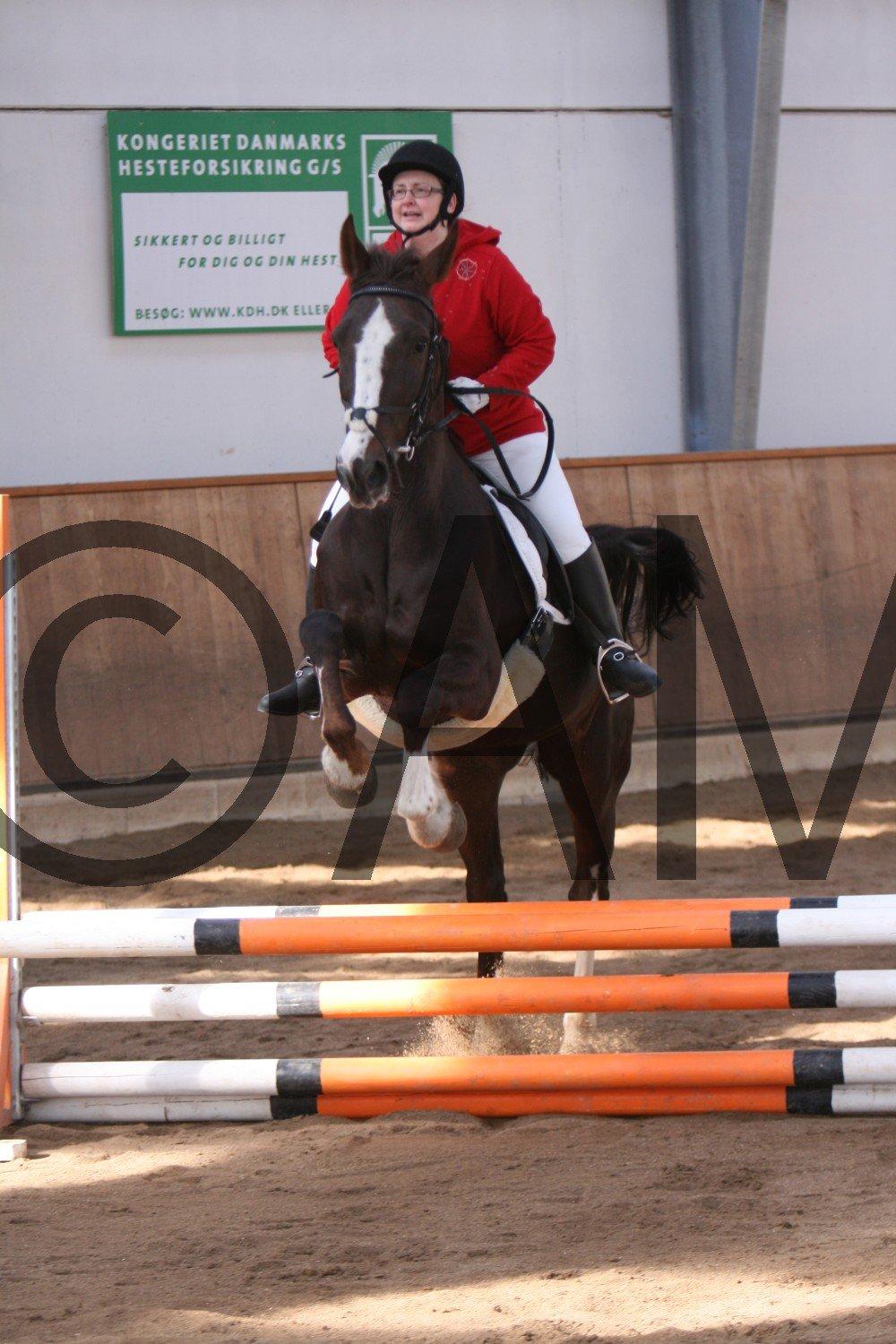 17/03 - 13 | Glostrup rideklub, spring billede 14