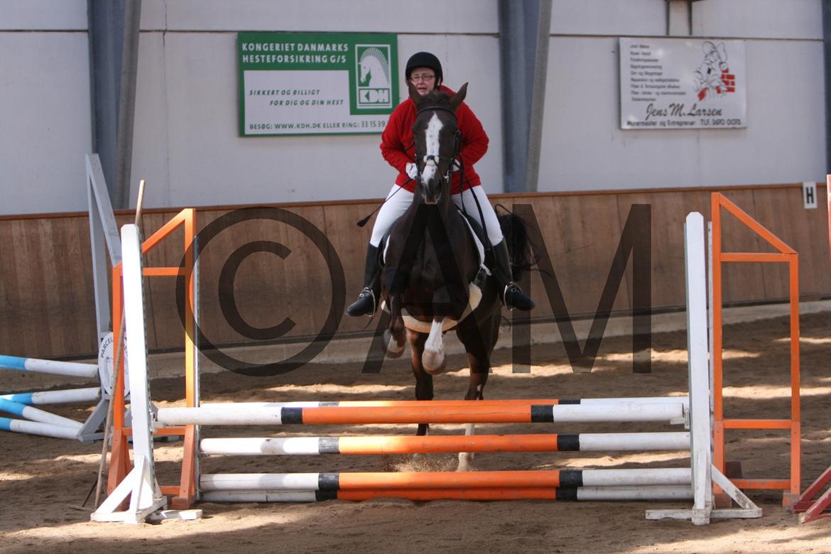 17/03 - 13 | Glostrup rideklub, spring billede 17