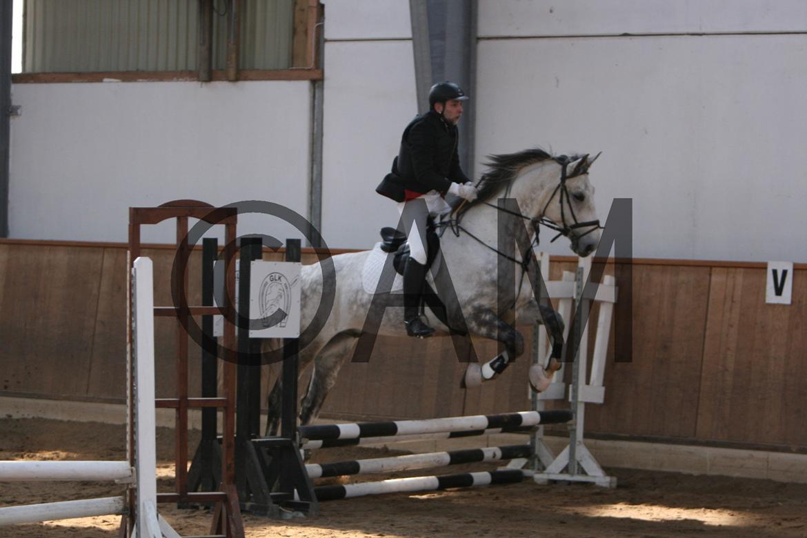 17/03 - 13 | Glostrup rideklub, spring billede 18