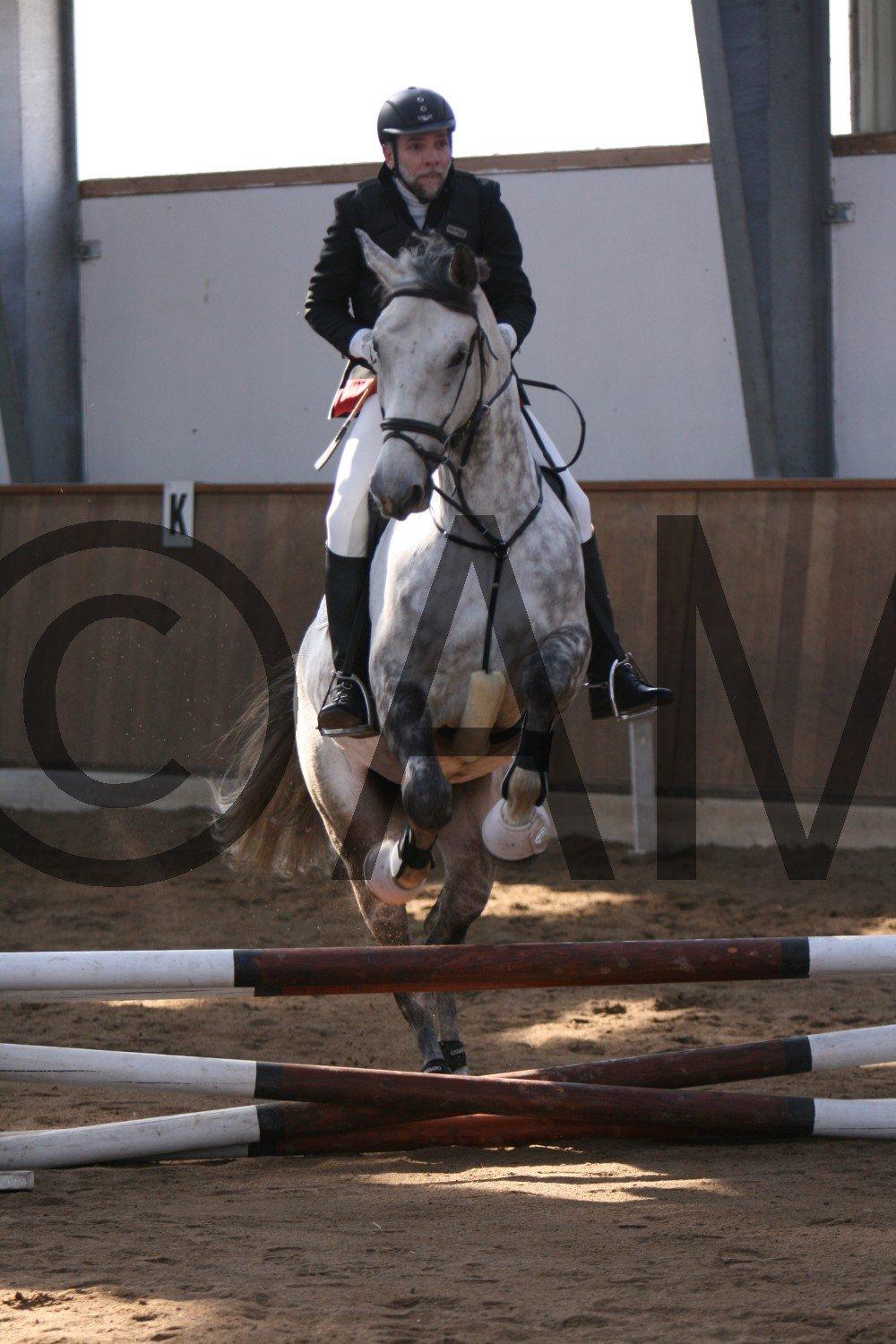 17/03 - 13 | Glostrup rideklub, spring billede 20