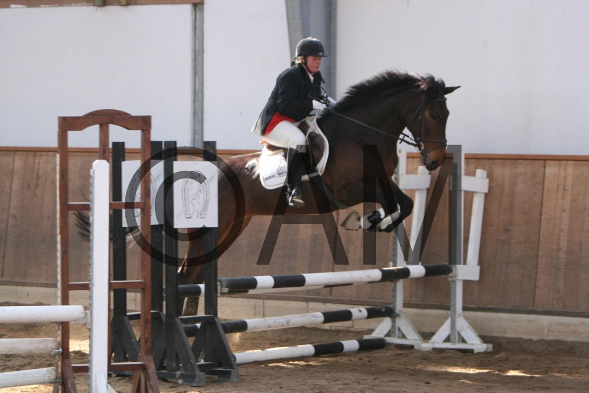 17/03 - 13 | Glostrup rideklub, spring billede 21