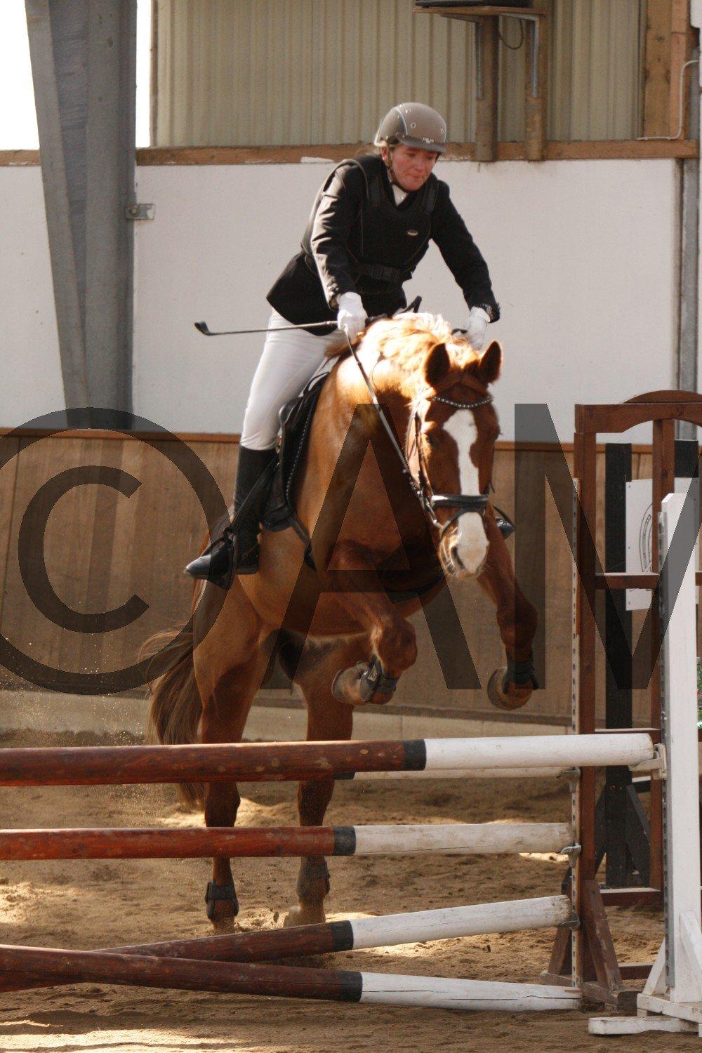 17/03 - 13 | Glostrup rideklub, spring billede 24