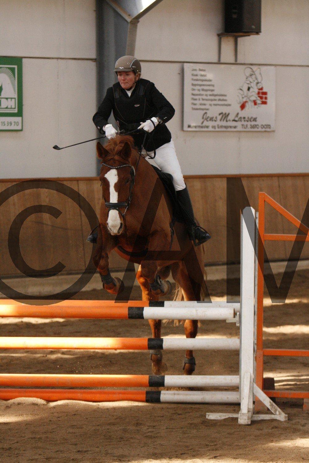 17/03 - 13 | Glostrup rideklub, spring billede 25