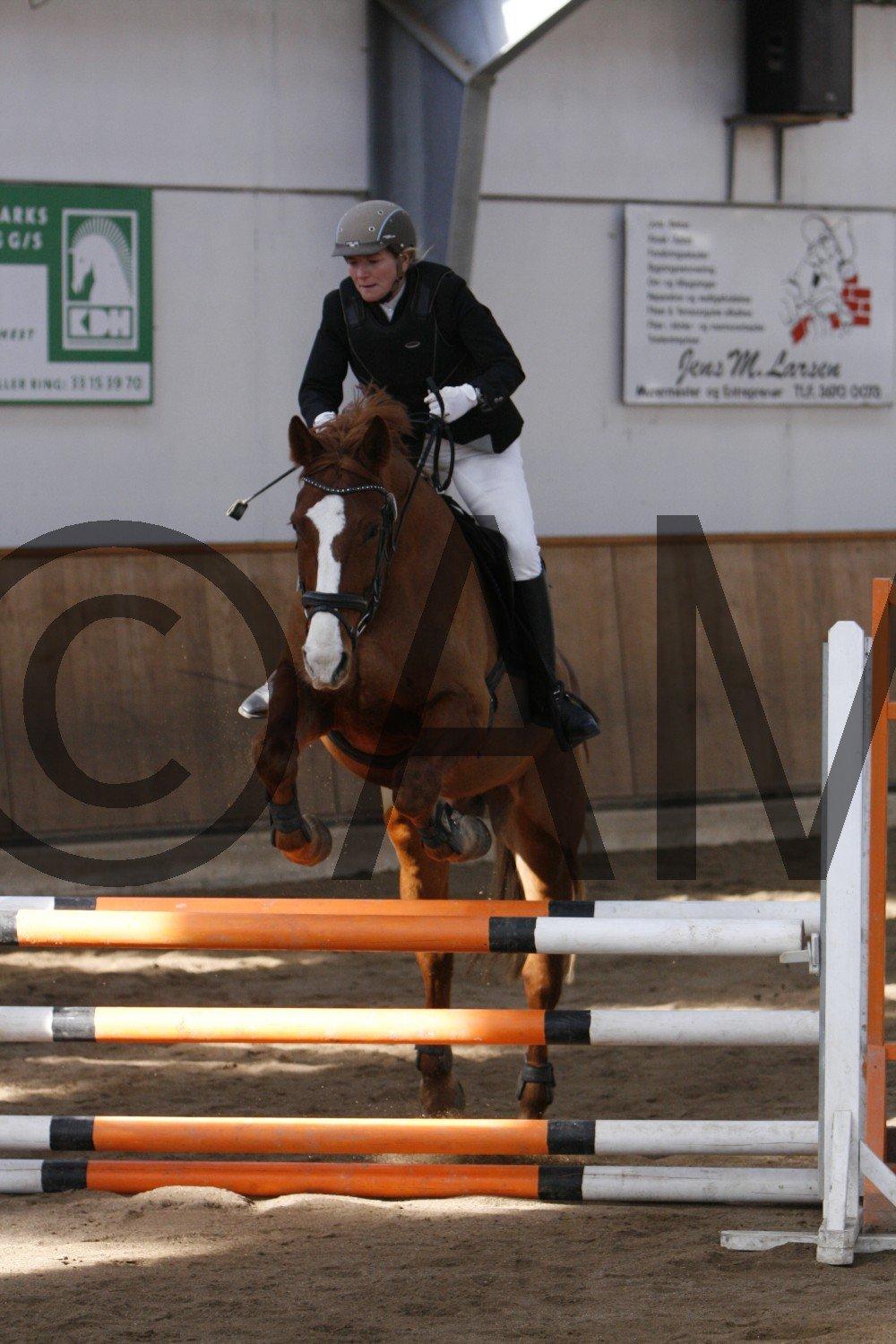 17/03 - 13 | Glostrup rideklub, spring billede 27