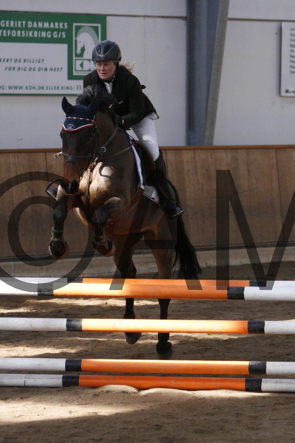 17/03 - 13 | Glostrup rideklub, spring billede 29