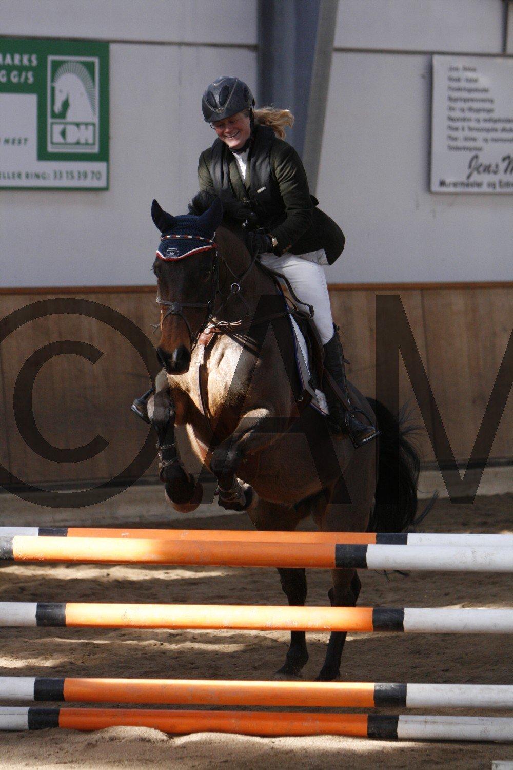 17/03 - 13 | Glostrup rideklub, spring billede 30