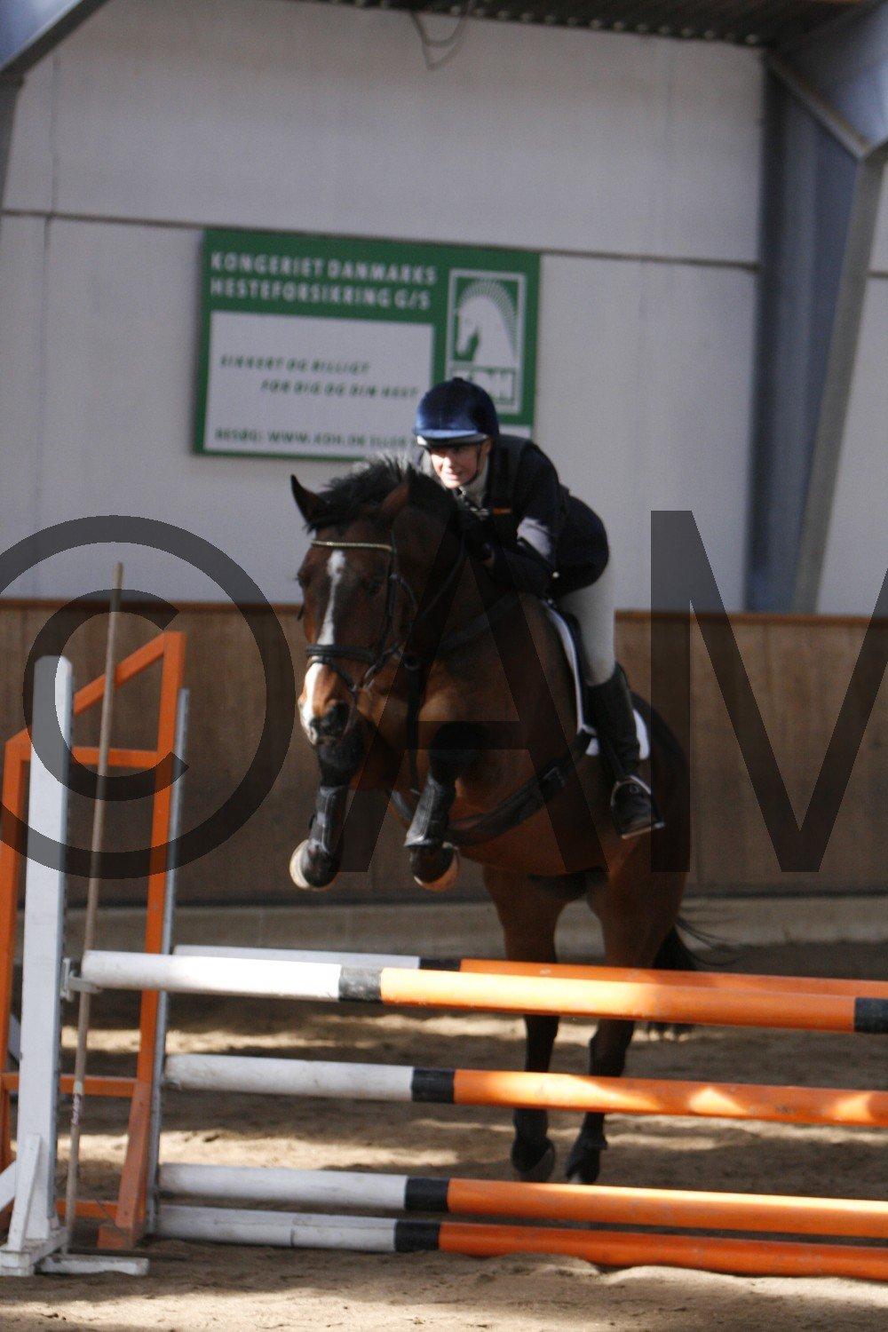 17/03 - 13 | Glostrup rideklub, spring billede 31