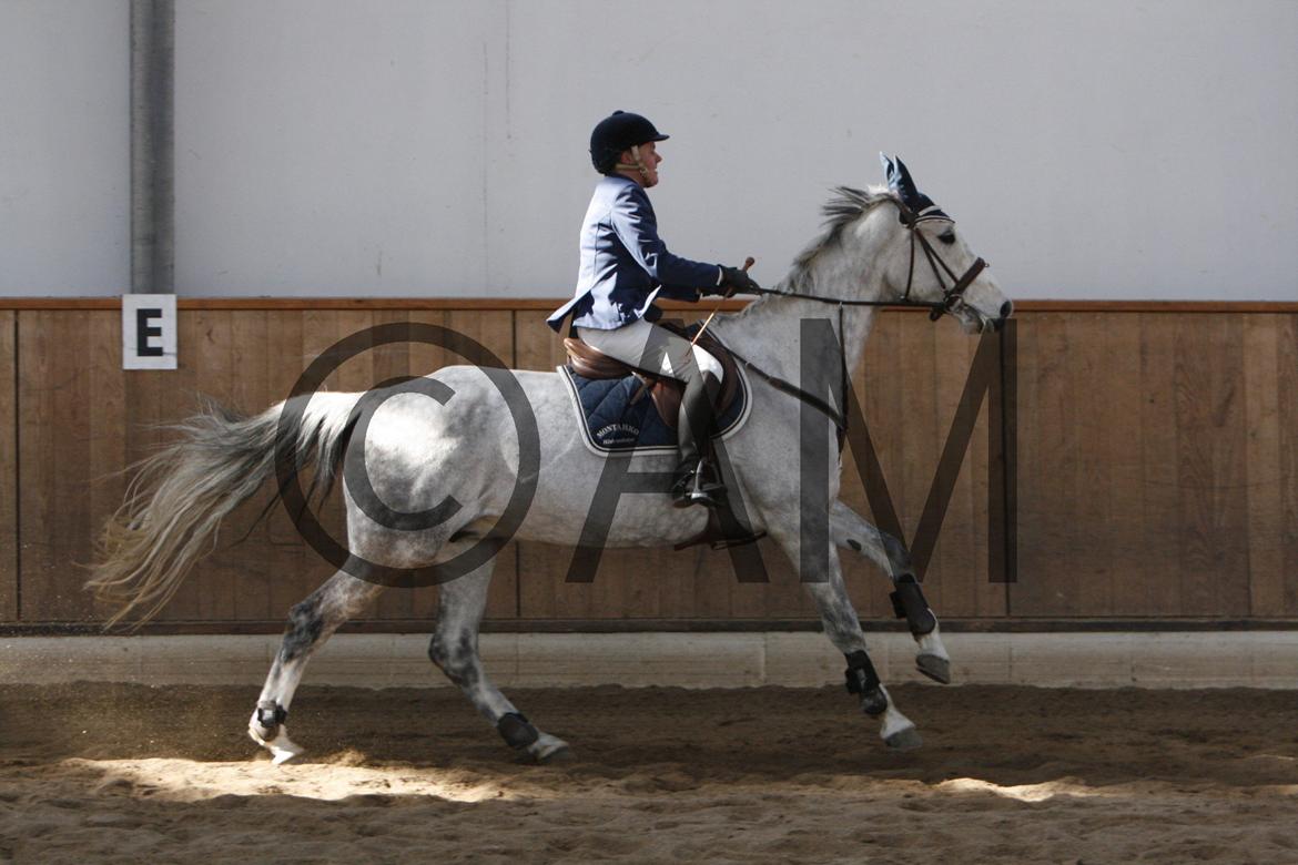 17/03 - 13 | Glostrup rideklub, spring billede 33