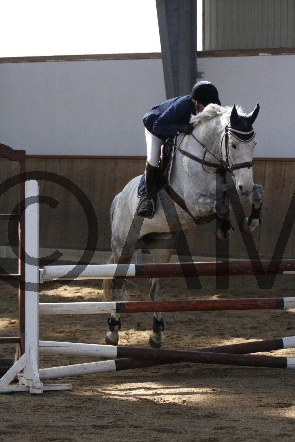 17/03 - 13 | Glostrup rideklub, spring billede 34