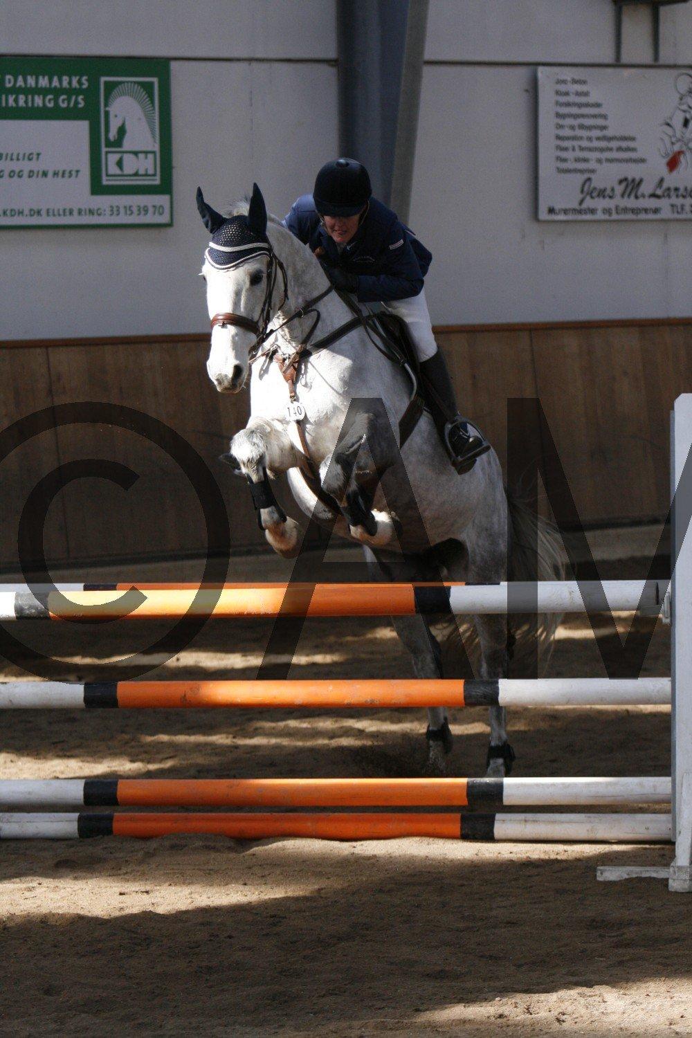 17/03 - 13 | Glostrup rideklub, spring billede 35