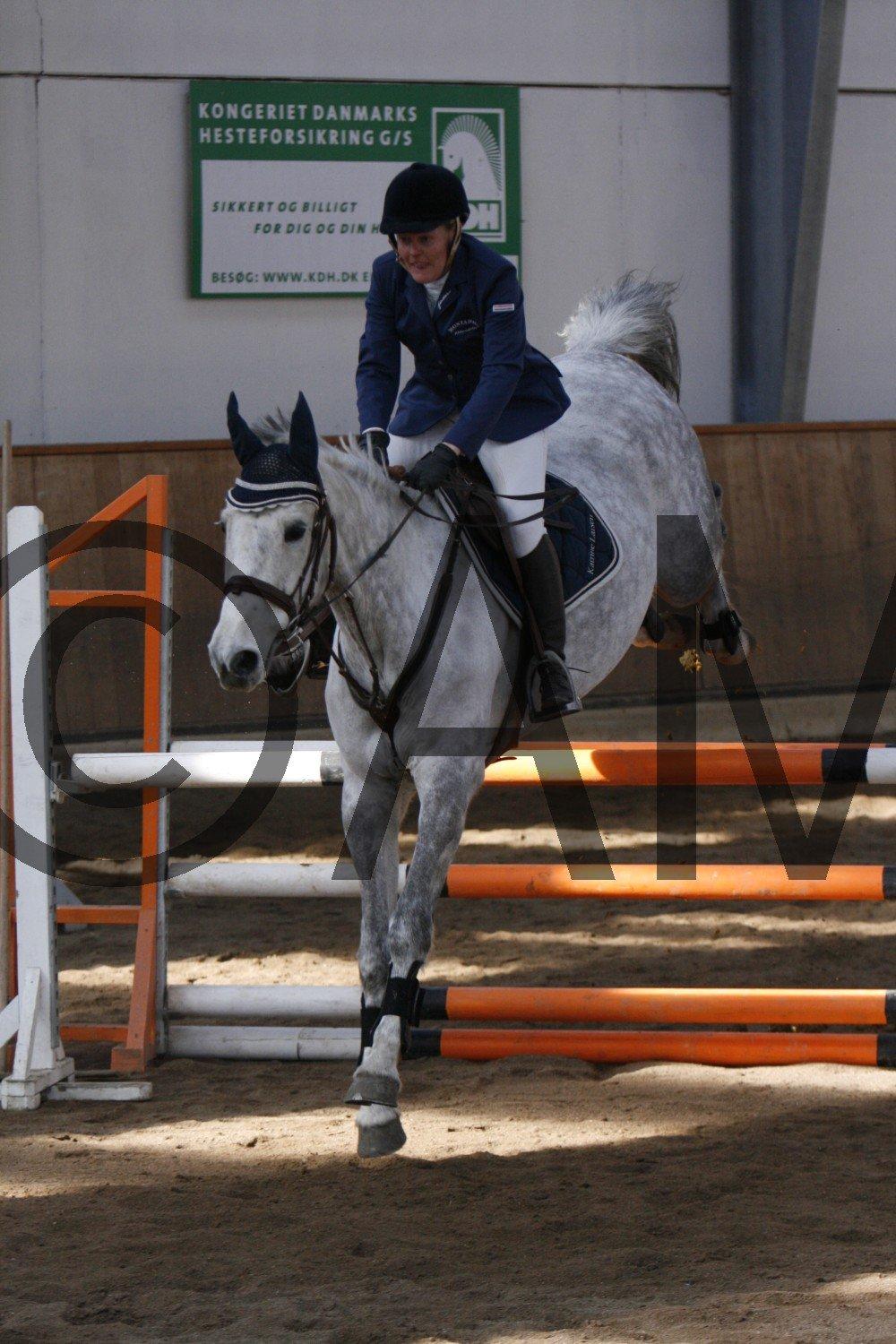 17/03 - 13 | Glostrup rideklub, spring billede 36