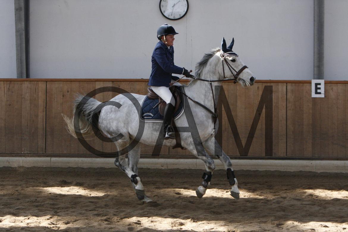 17/03 - 13 | Glostrup rideklub, spring billede 38