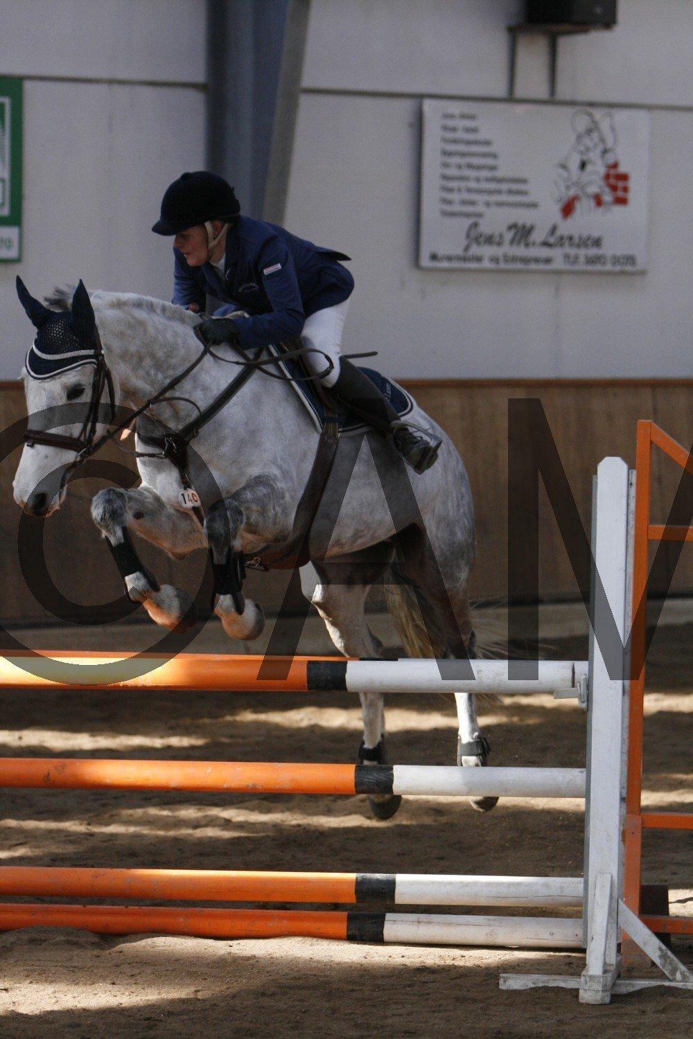 17/03 - 13 | Glostrup rideklub, spring billede 39