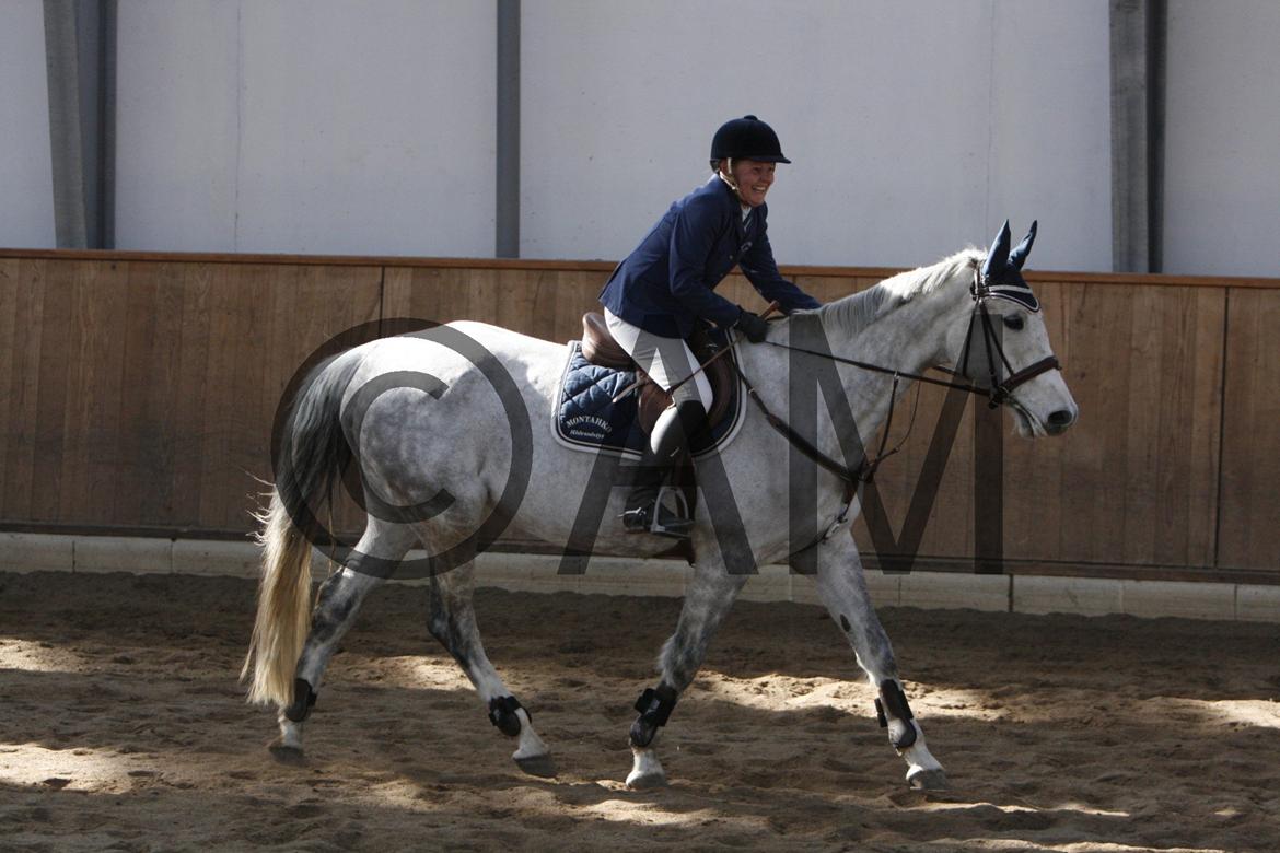 17/03 - 13 | Glostrup rideklub, spring billede 40