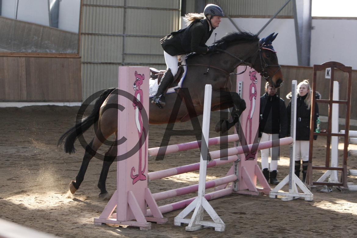 17/03 - 13 | Glostrup rideklub, spring billede 44