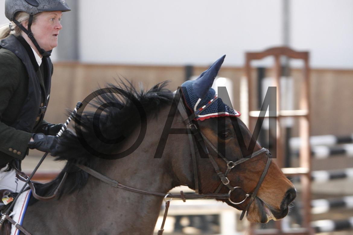 17/03 - 13 | Glostrup rideklub, spring billede 45