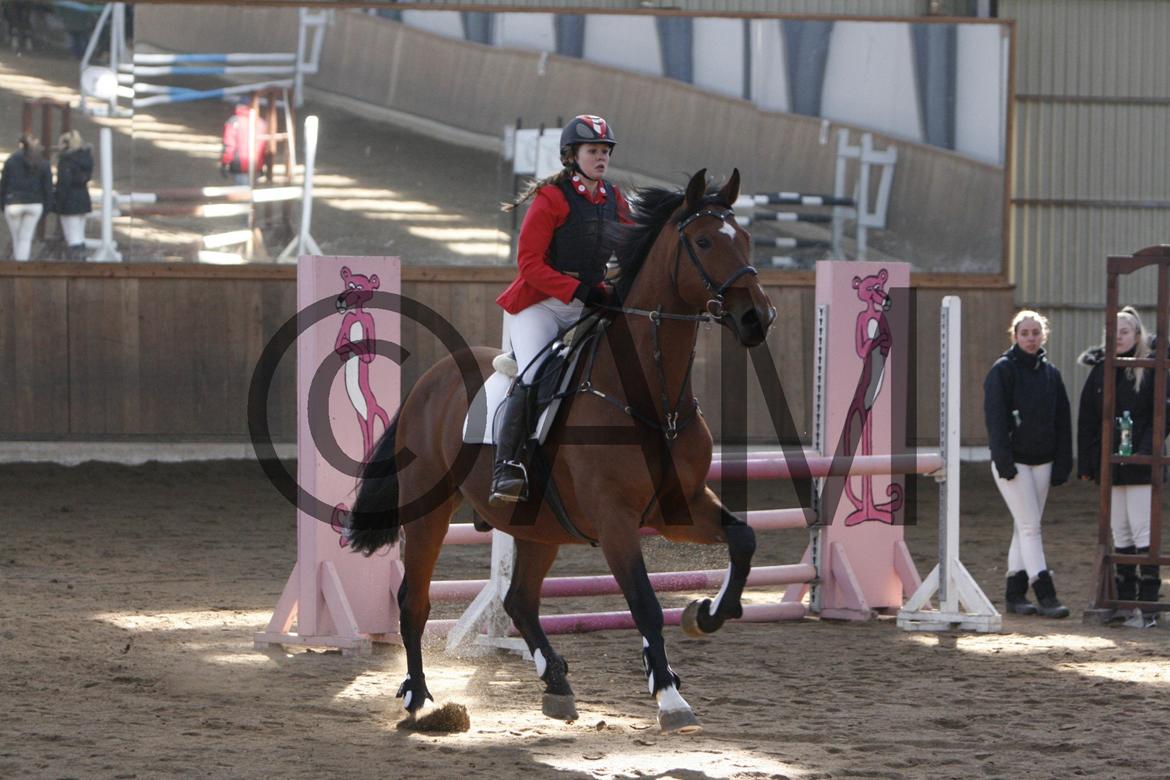 17/03 - 13 | Glostrup rideklub, spring billede 47